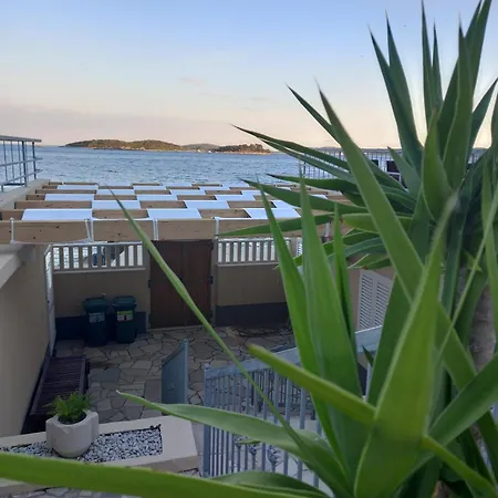 Seaside Family Friendly House With A Swimming Pool Orebic, Peljesac - 23009 Σπίτι διακοπών Orebić